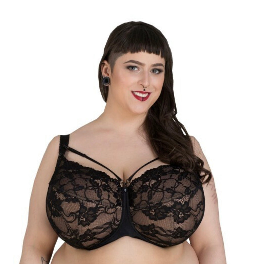 (Wholesale) Set of 12 Black and Nude Lace Bras with Harness